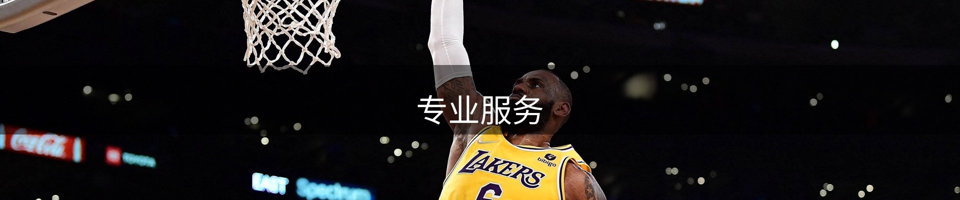 专业服务