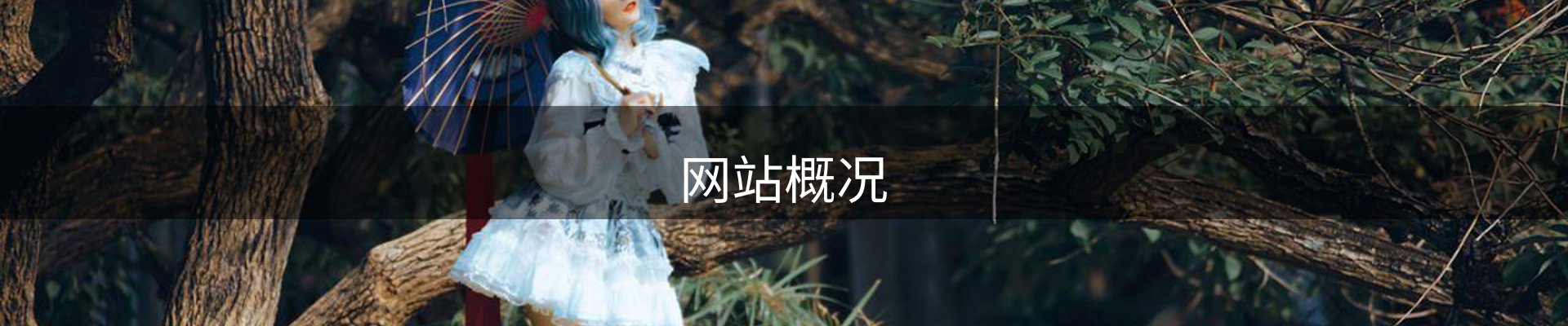 网站概况